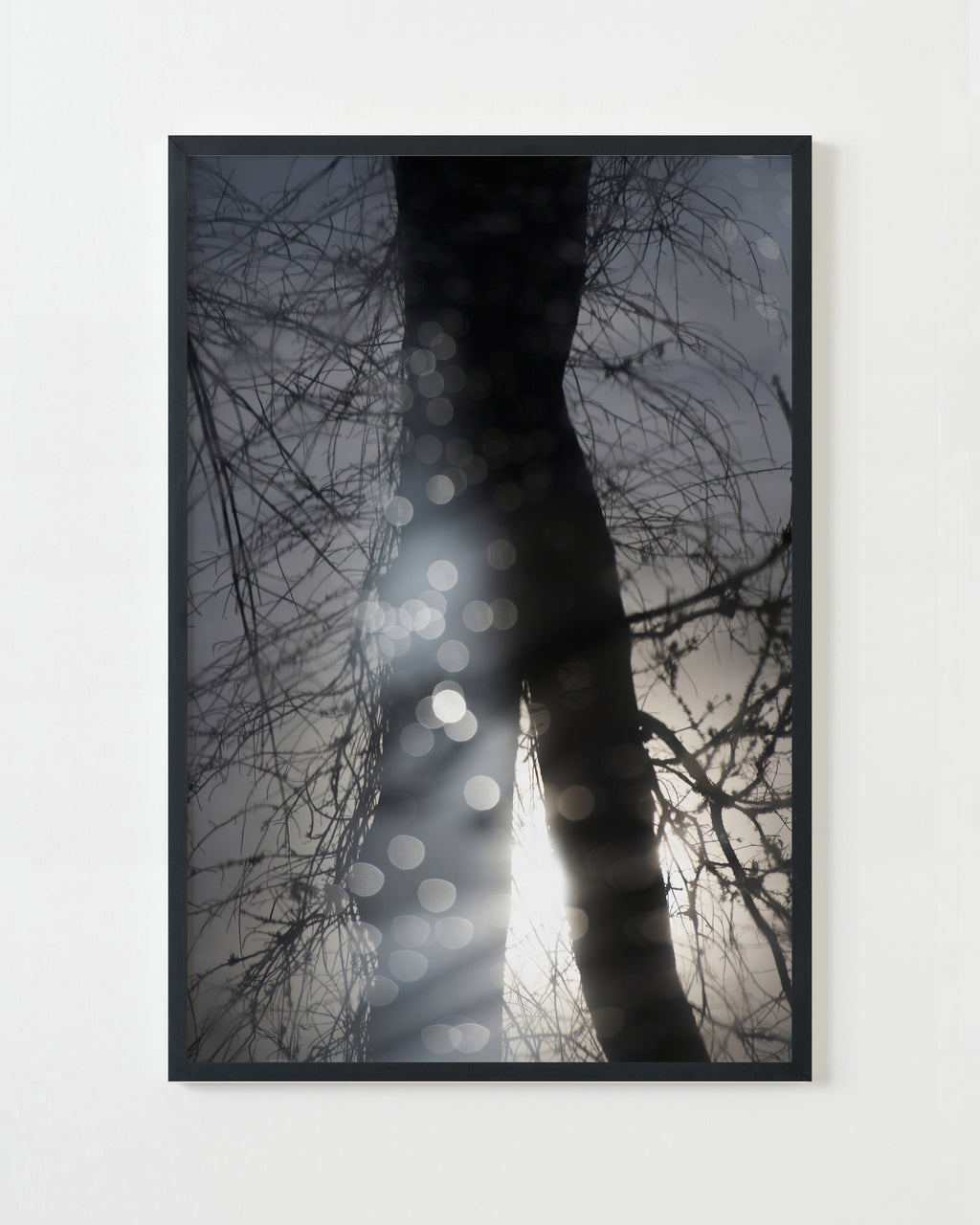 Photography by Jessica Haye & Clark Hsiao titled "Sebastopol I" - 3.