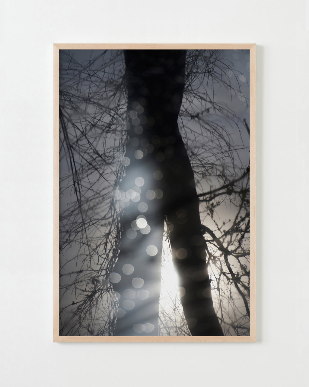 Photography by Jessica Haye & Clark Hsiao titled "Sebastopol I" - 4.