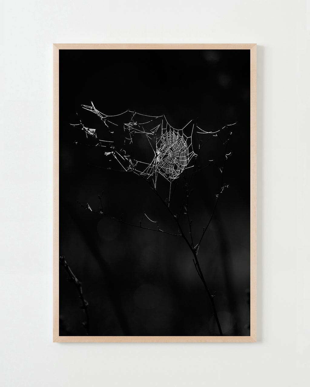 Photography by Jessica Haye & Clark Hsiao titled "Sebastopol II" - 4.