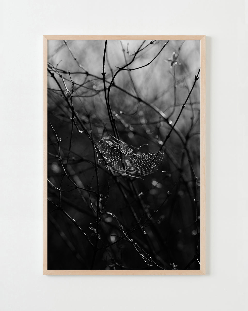 Photography by Jessica Haye & Clark Hsiao titled "Sebastopol III" - 4.