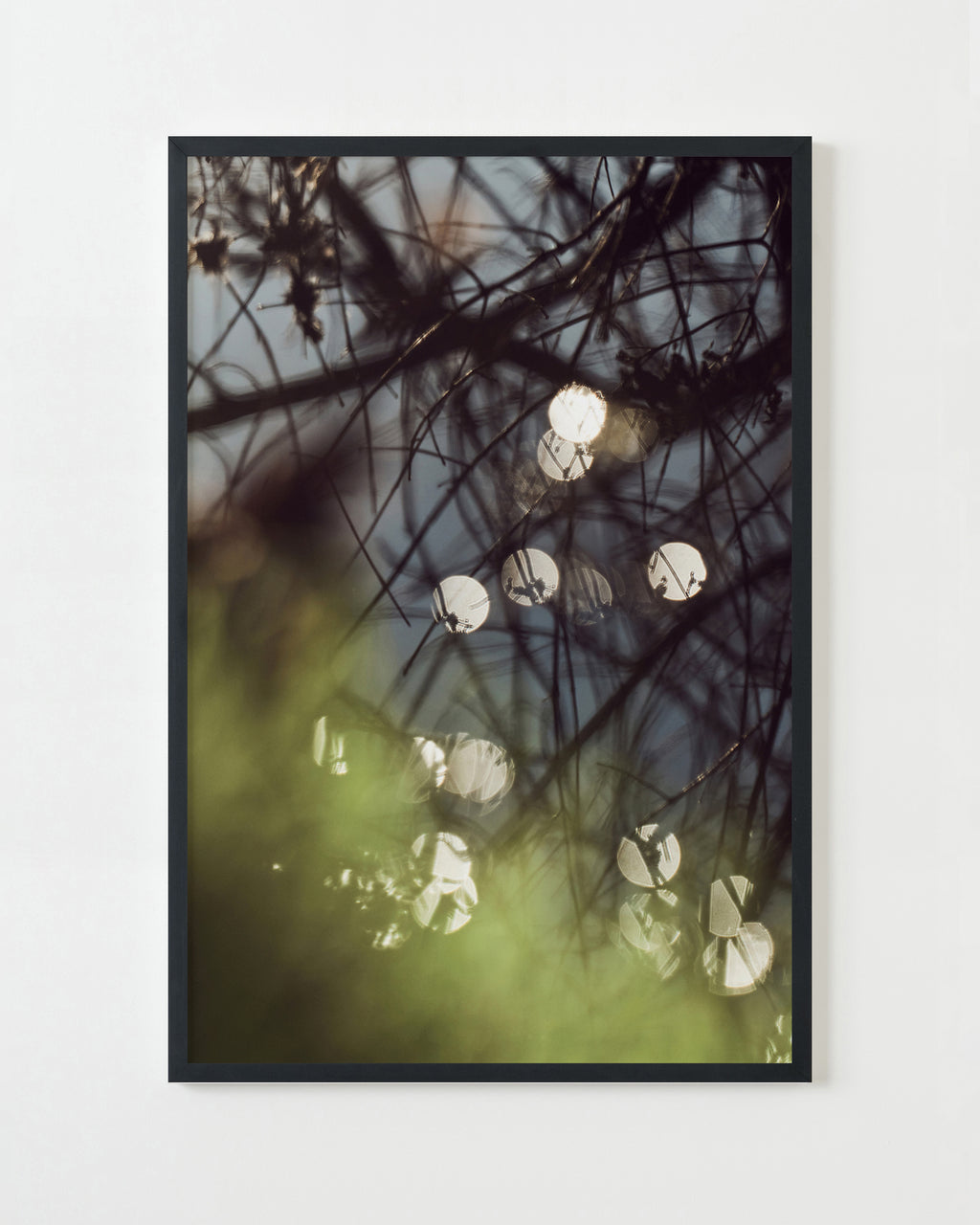 Photography by Jessica Haye & Clark Hsiao titled "Sonoma I" - 3.