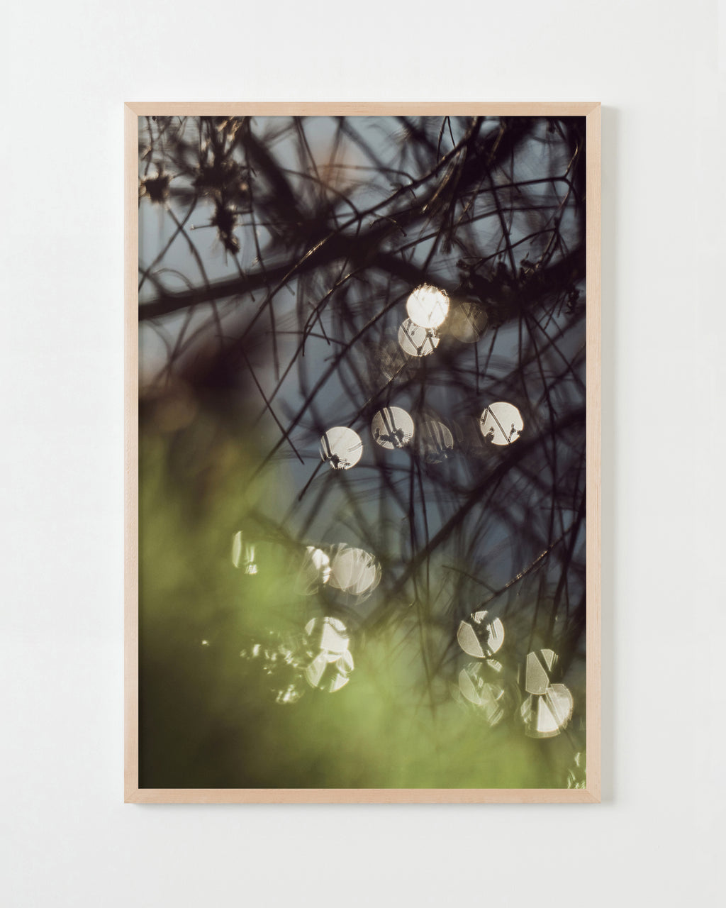Photography by Jessica Haye & Clark Hsiao titled "Sonoma I" - 4.