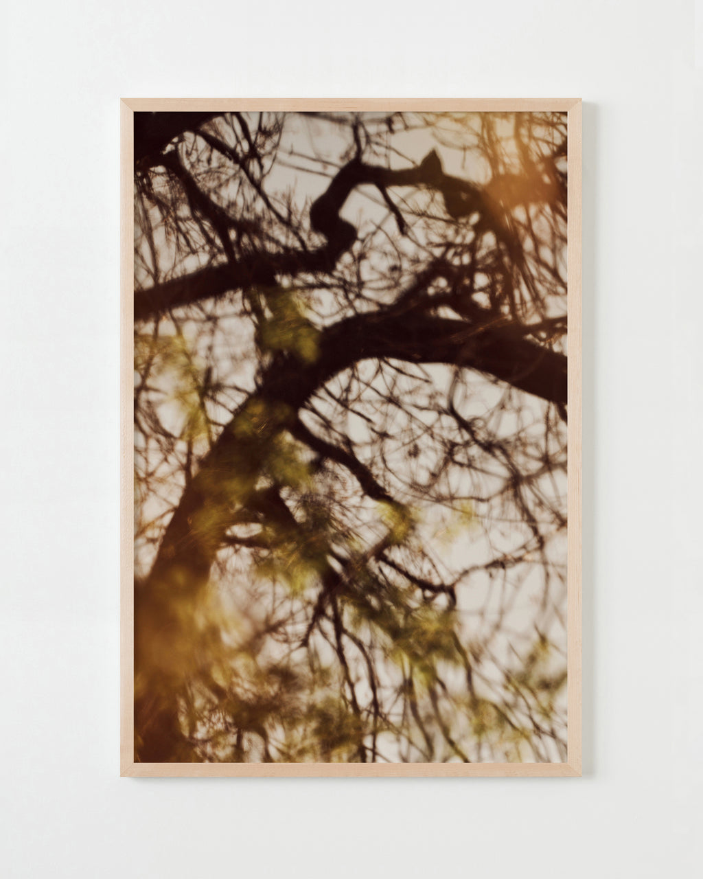 Photography by Jessica Haye & Clark Hsiao titled "Sonoma II" - 4.