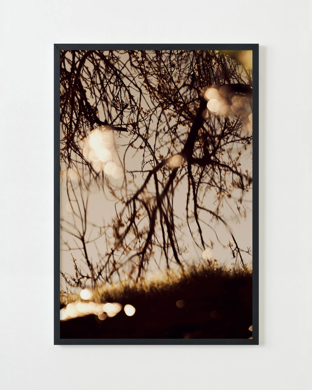 Photography by Jessica Haye & Clark Hsiao titled "Sonoma III" - 3.