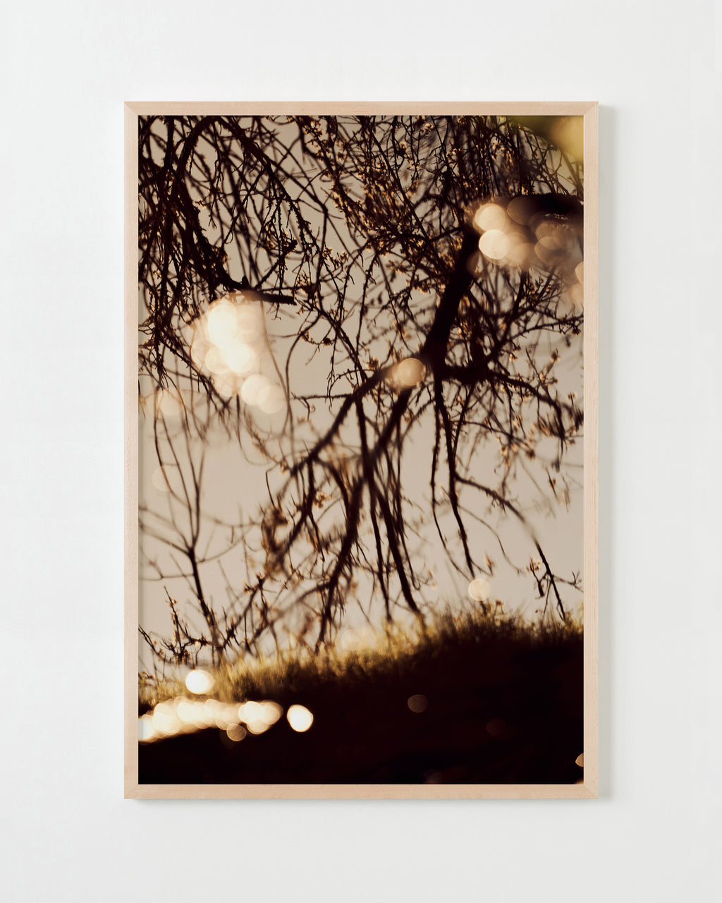 Photography by Jessica Haye & Clark Hsiao titled "Sonoma III" - 4.
