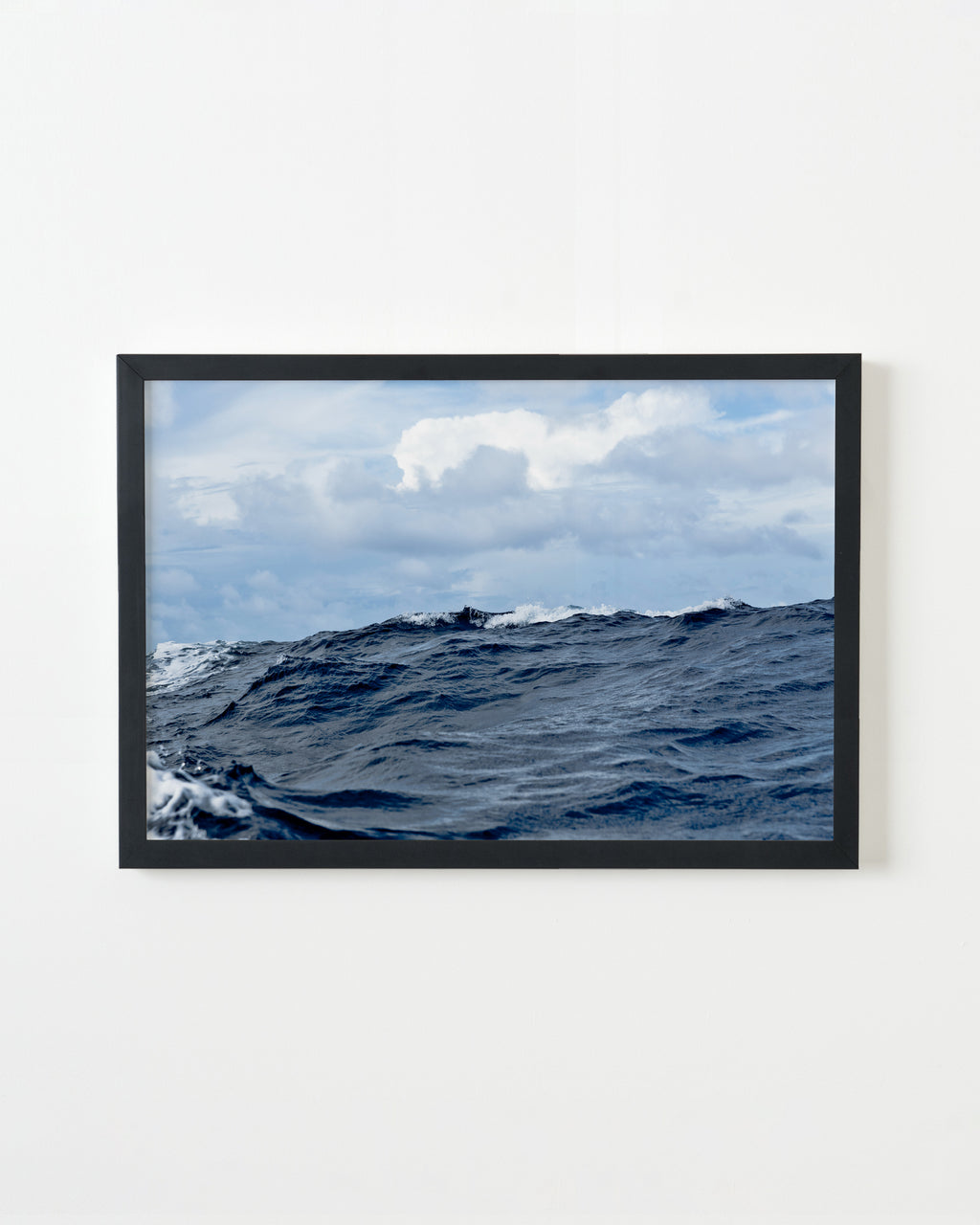 Photography by Jessica Haye & Clark Hsiao titled "Trident" - 3.