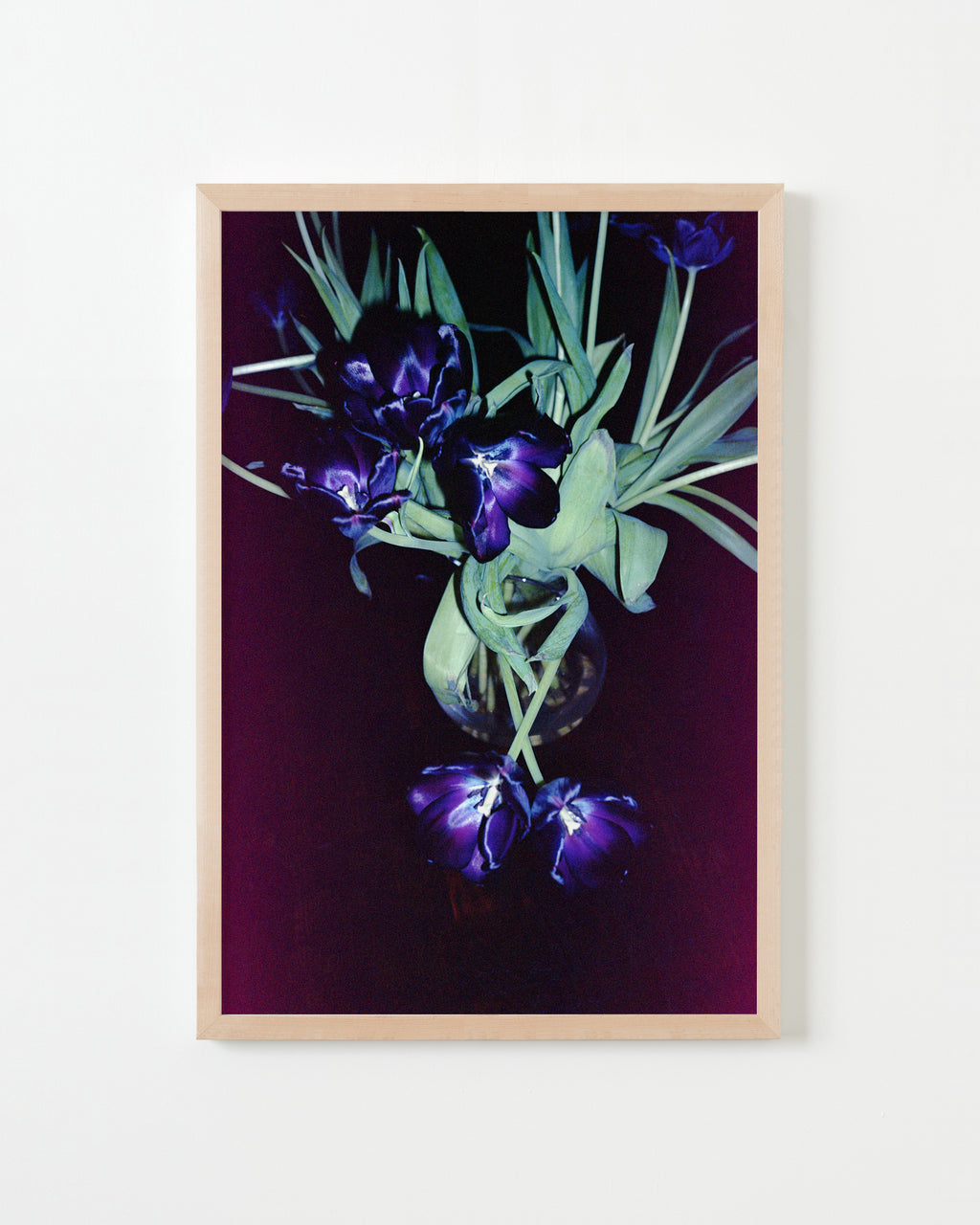 Photography by Jessica Haye & Clark Hsiao titled "Tulips" - 4.