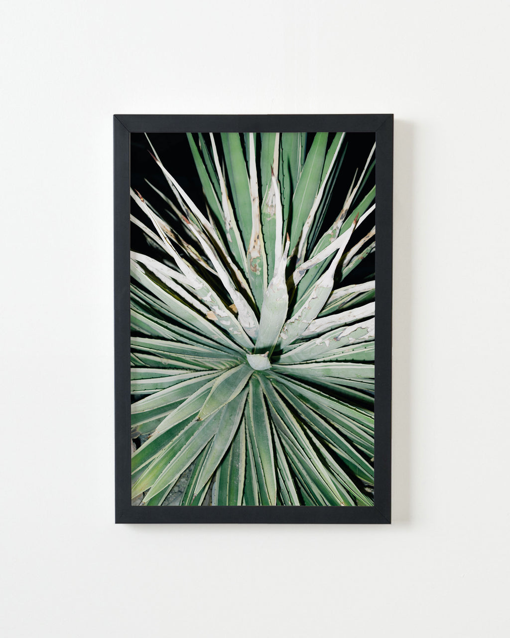 Photography by Jessica Haye & Clark Hsiao titled "ZTF" - 3.