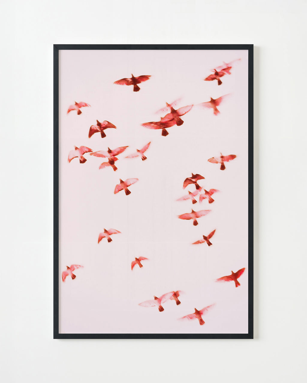 Photography by Jordan Sullivan titled "Birds 1" - 4.