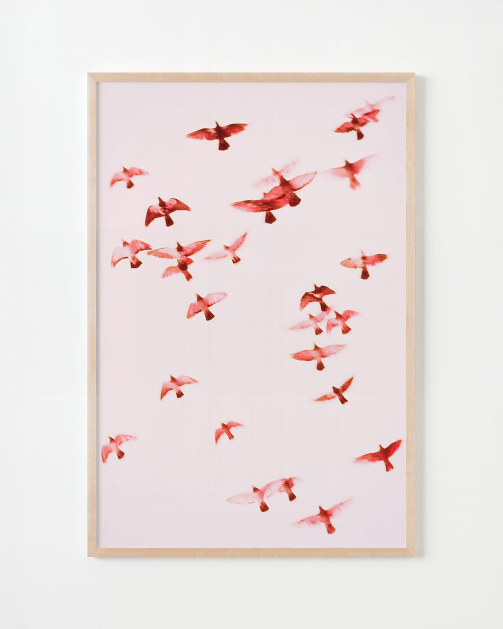 Photography by Jordan Sullivan titled "Birds 1" - 5.