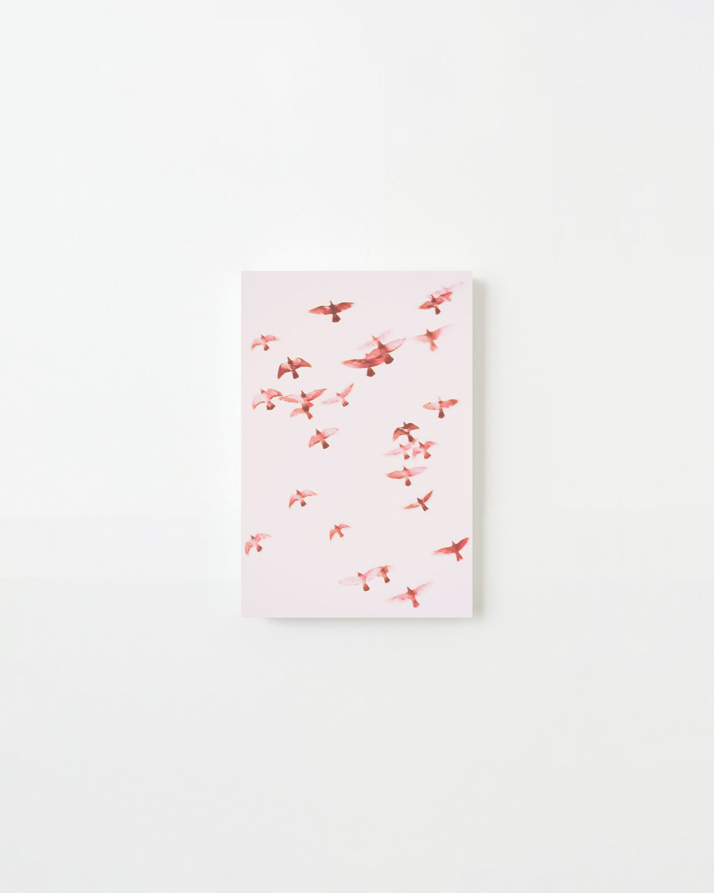 Photography by Jordan Sullivan titled "Birds 1" - 3.