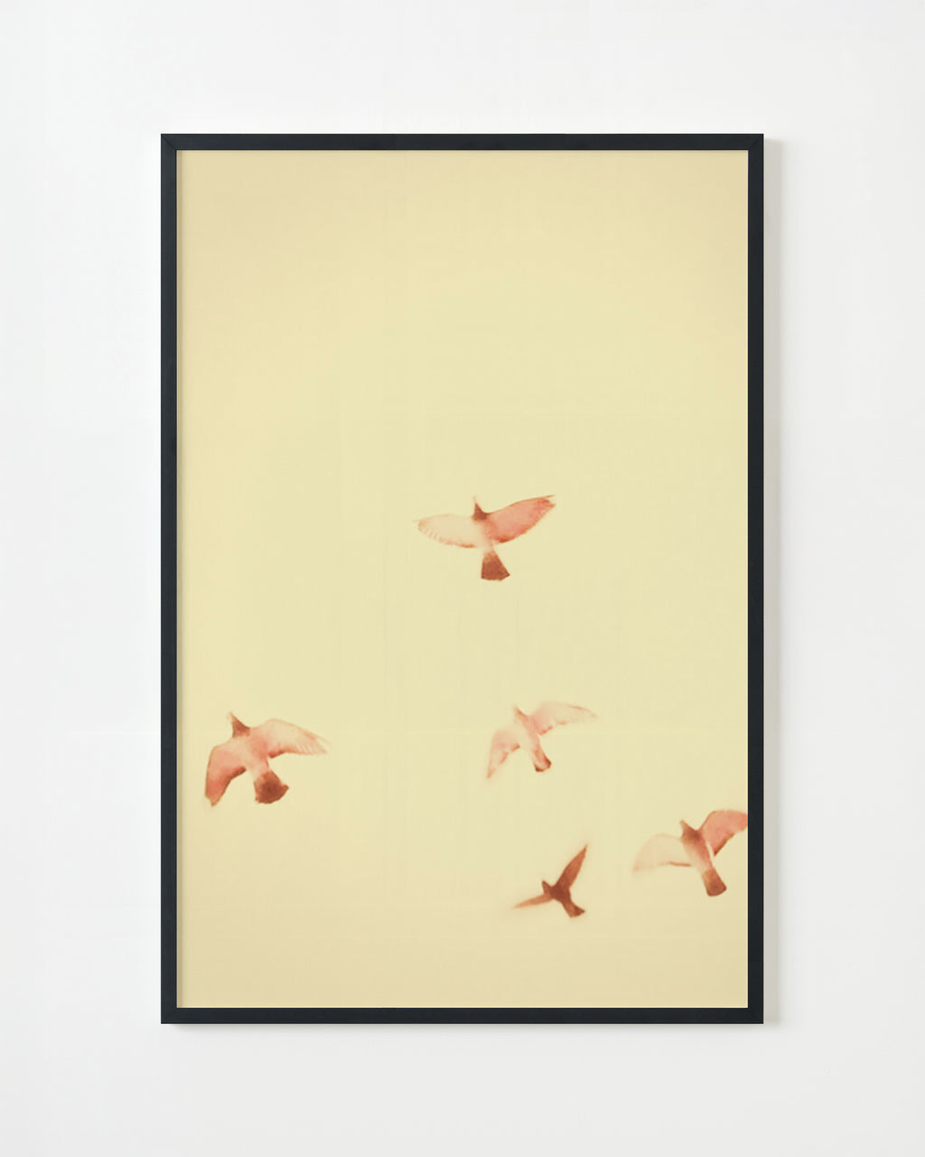 Photography by Jordan Sullivan titled "Birds 13" - 4.