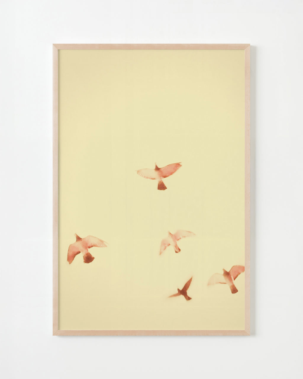 Photography by Jordan Sullivan titled "Birds 13" - 5.