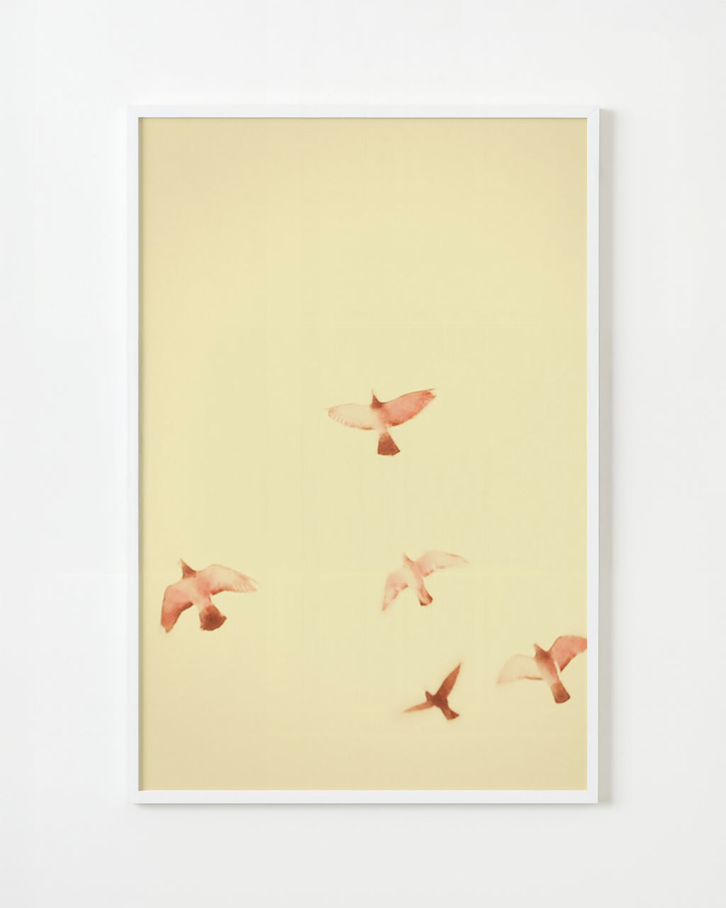 Photography by Jordan Sullivan titled "Birds 13" - 1.