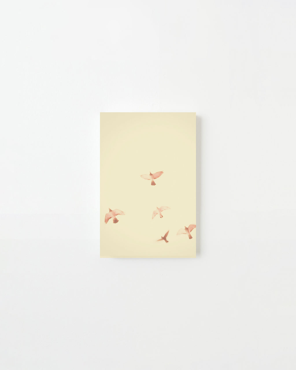 Photography by Jordan Sullivan titled "Birds 13" - 3.