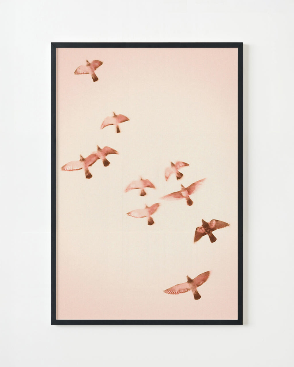 Photography by Jordan Sullivan titled "Birds 14" - 4.