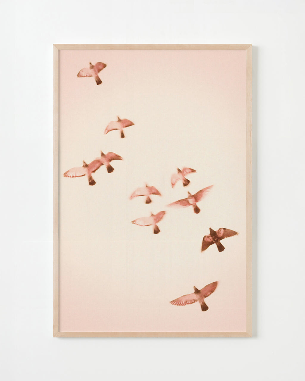 Photography by Jordan Sullivan titled "Birds 14" - 5.