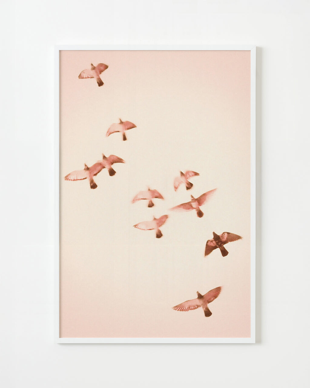 Photography by Jordan Sullivan titled "Birds 14" - 1.