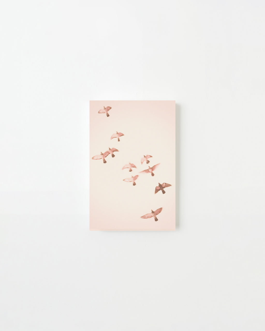 Photography by Jordan Sullivan titled "Birds 14" - 3.