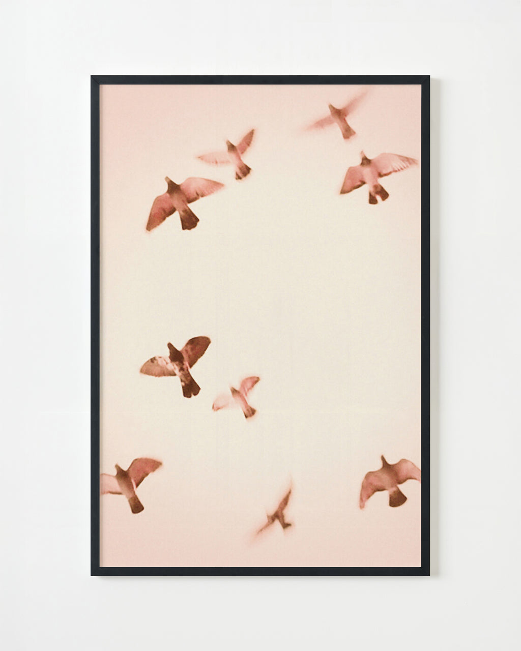 Photography by Jordan Sullivan titled "Birds 2" - 4.