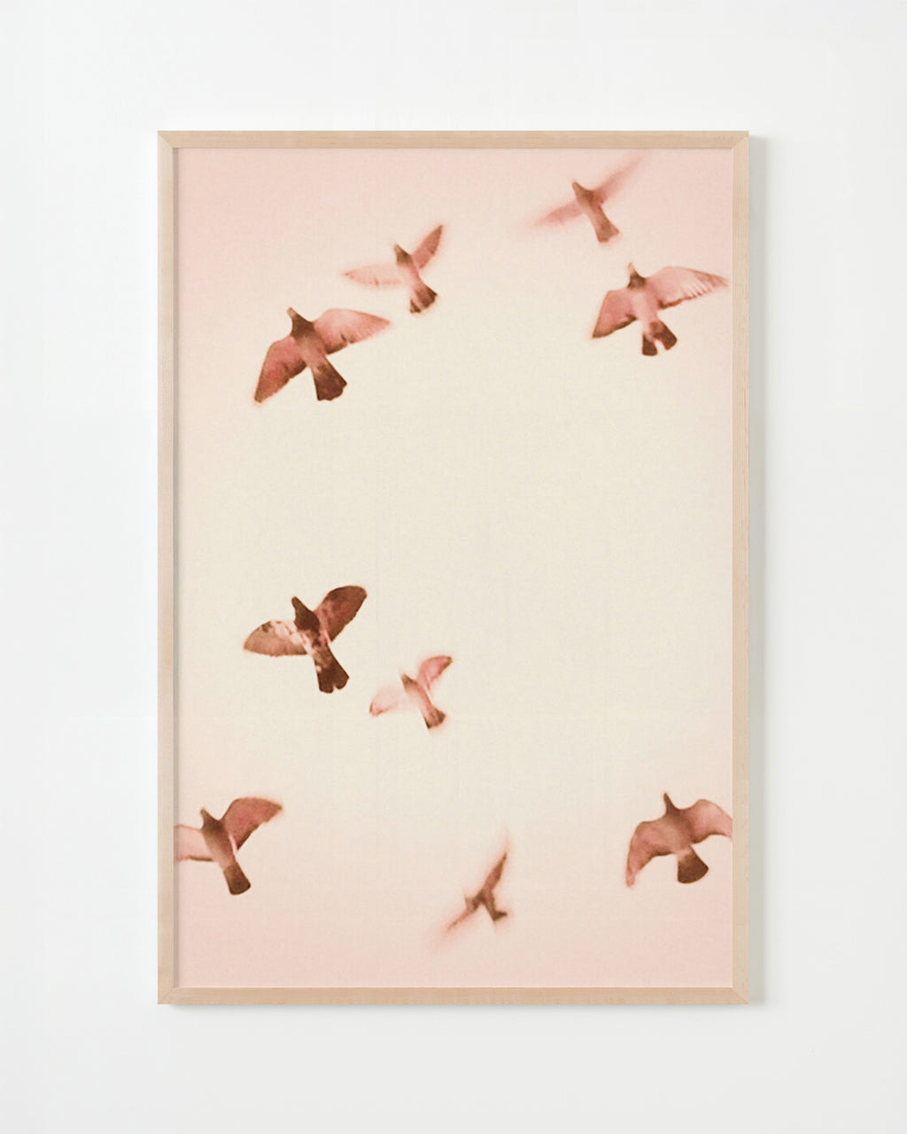 Photography by Jordan Sullivan titled "Birds 2" - 5.