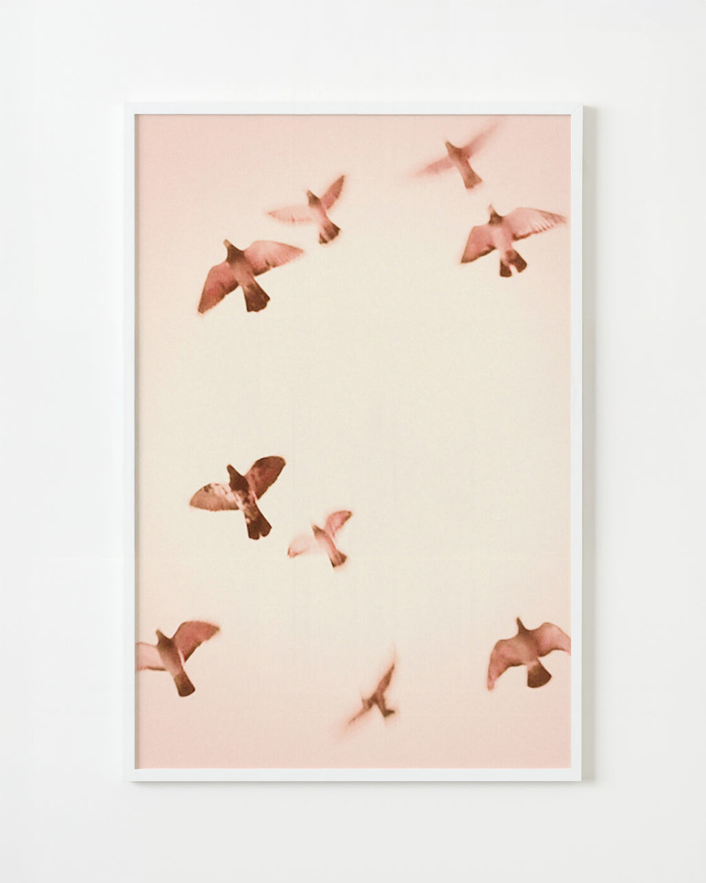 Photography by Jordan Sullivan titled "Birds 2" - 1.