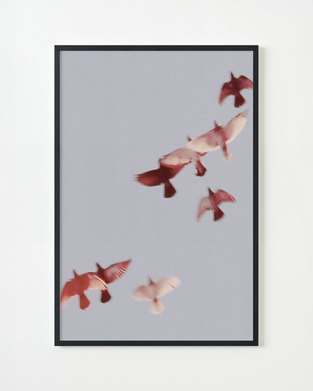 Photography by Jordan Sullivan titled "Birds 5" - 4.