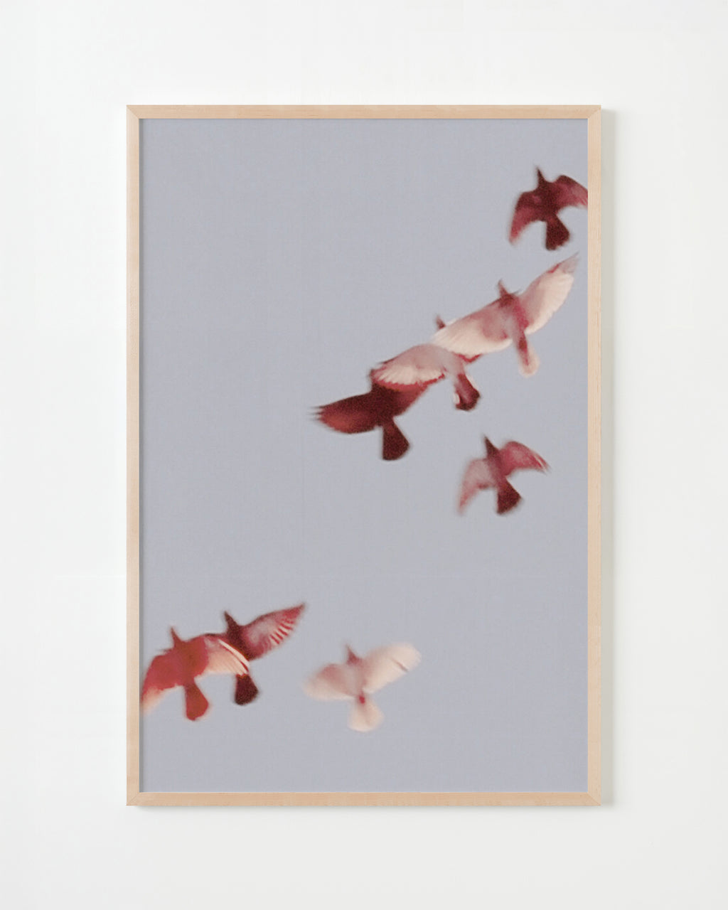 Photography by Jordan Sullivan titled "Birds 5" - 5.