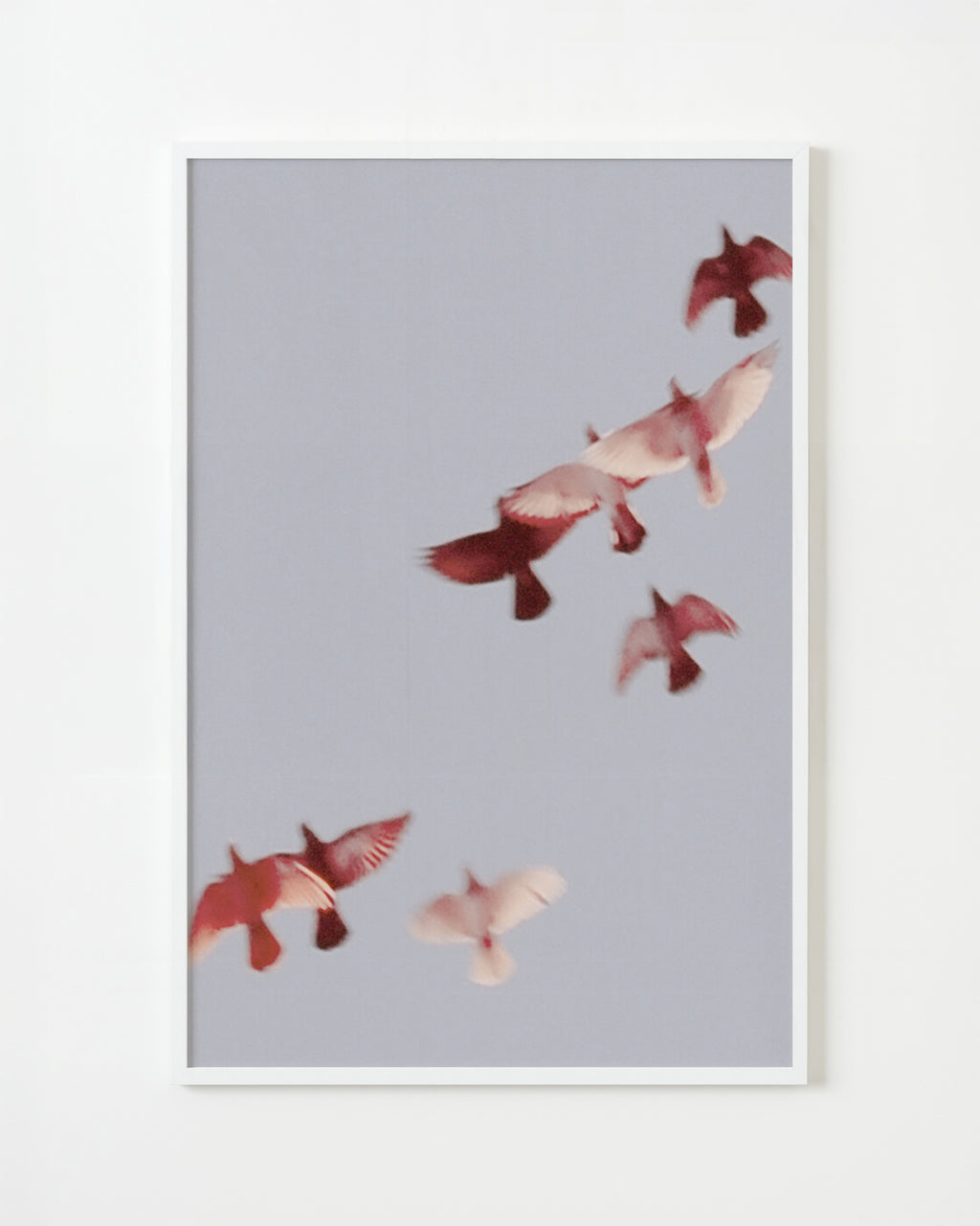 Photography by Jordan Sullivan titled "Birds 5" - 1.