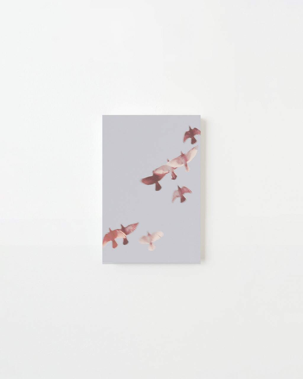 Photography by Jordan Sullivan titled "Birds 5" - 3.