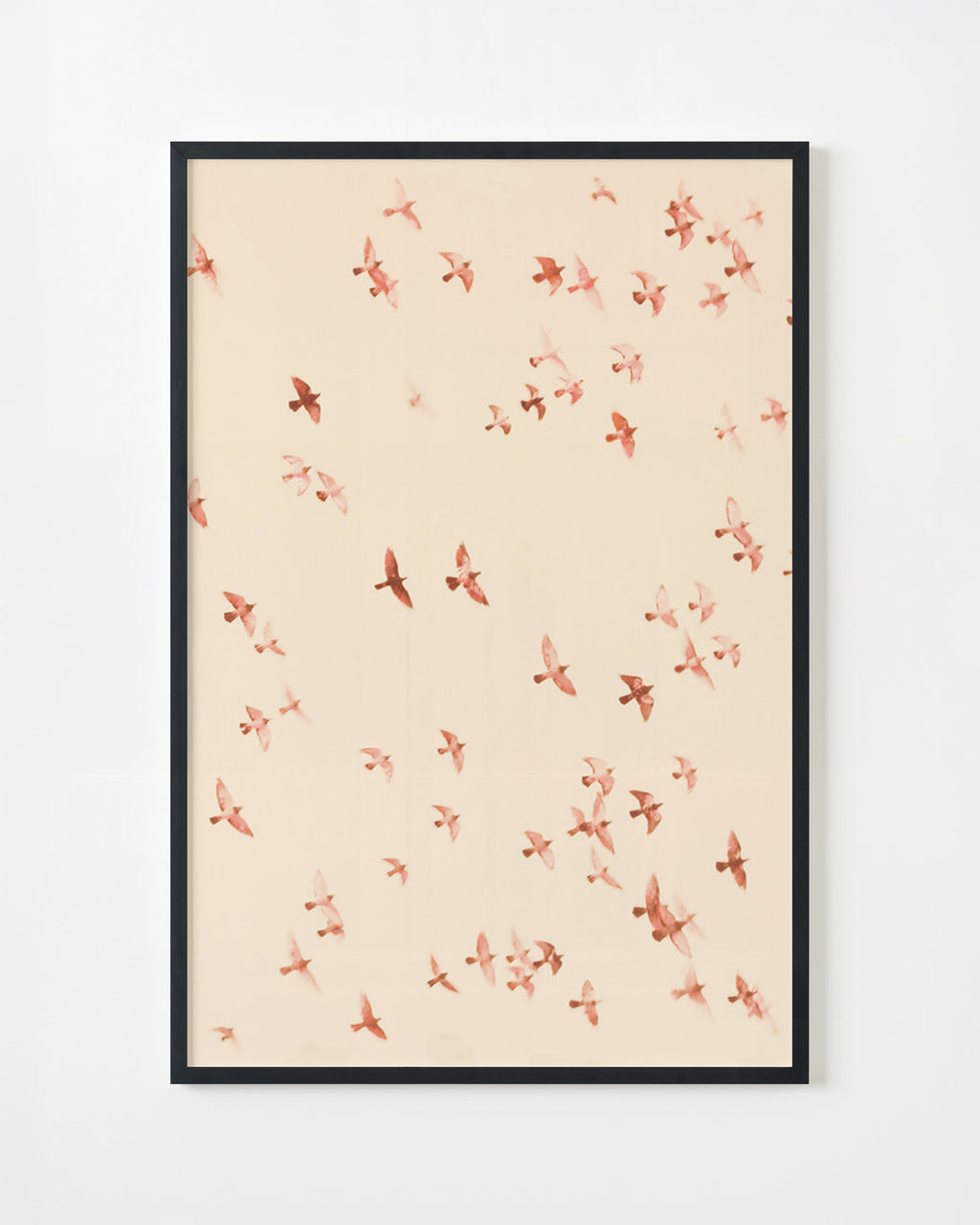Photography by Jordan Sullivan titled "Birds 9" - 4.