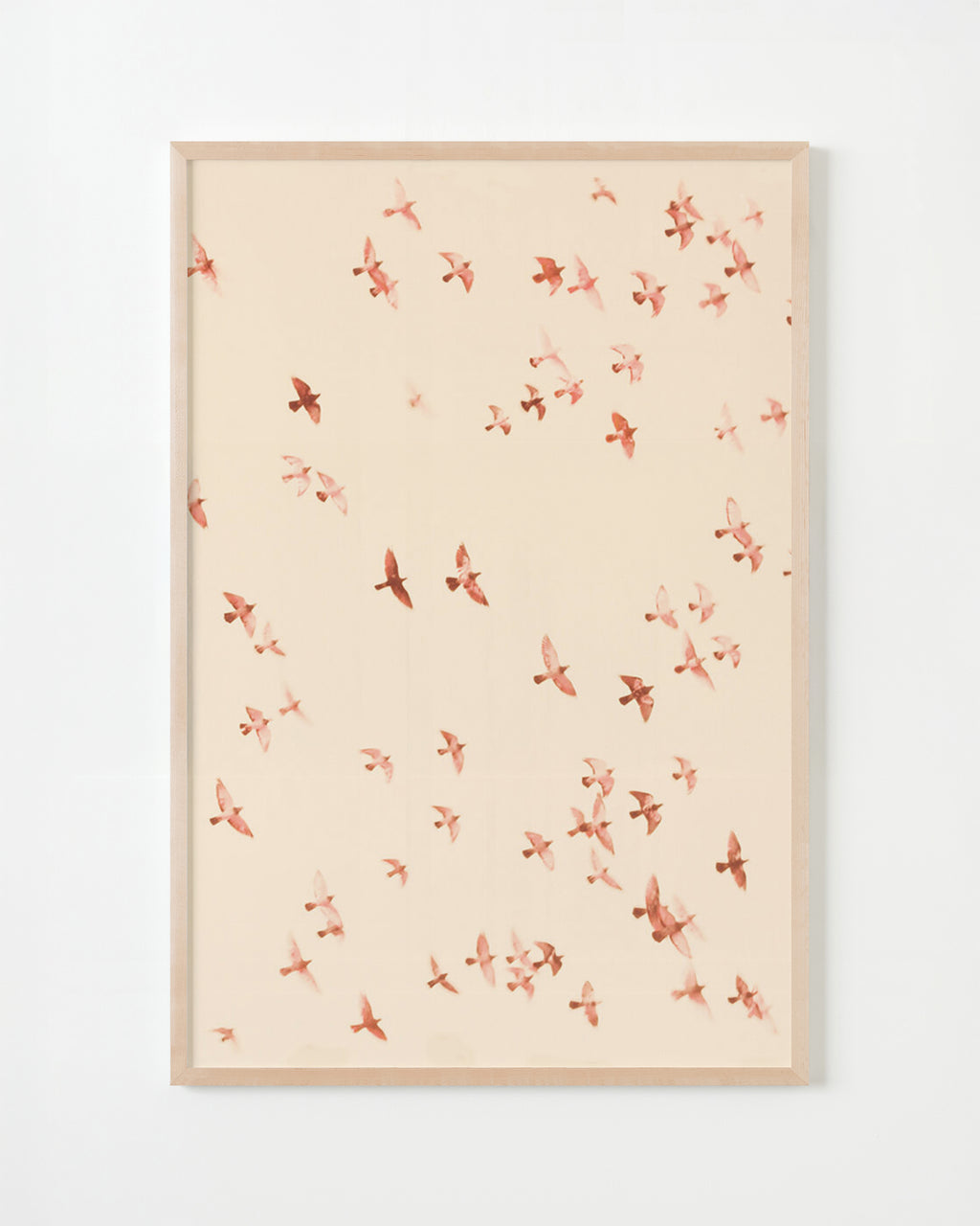 Photography by Jordan Sullivan titled "Birds 9" - 5.