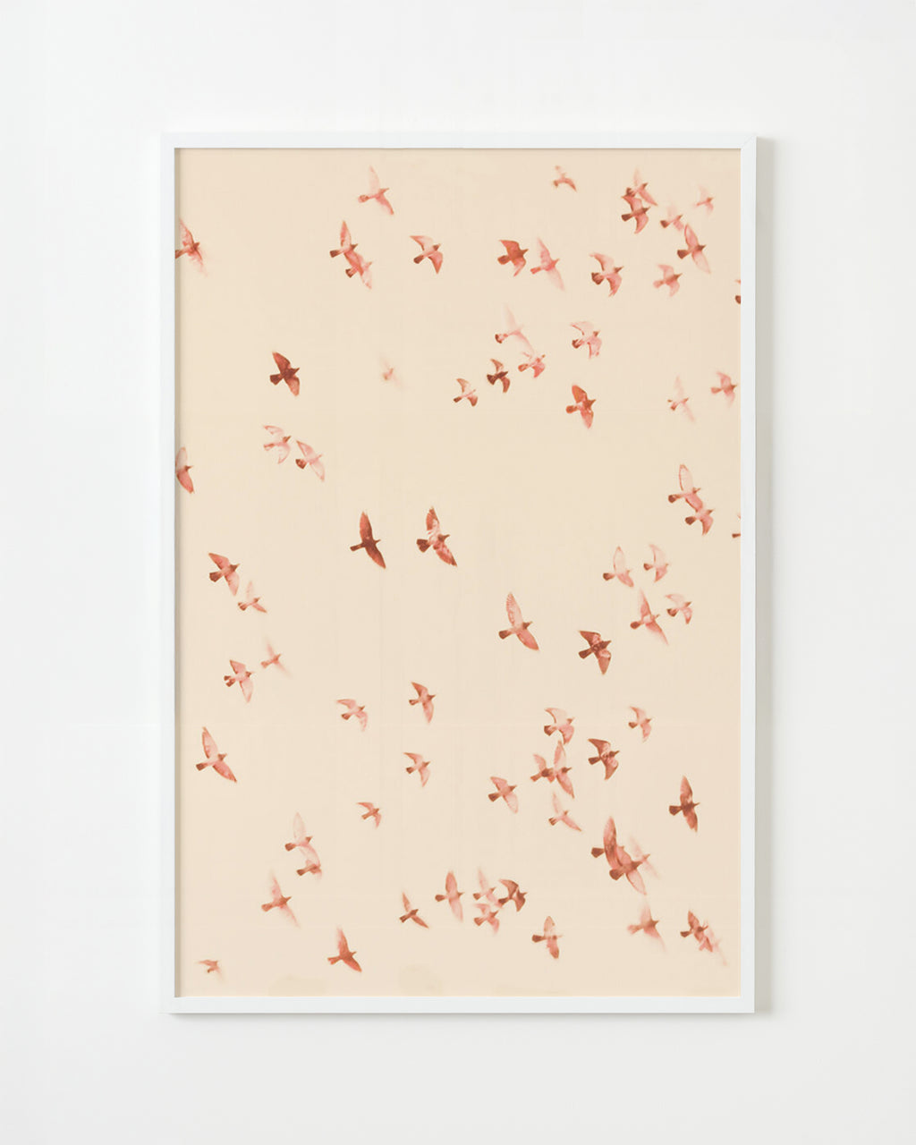 Photography by Jordan Sullivan titled "Birds 9" - 1.