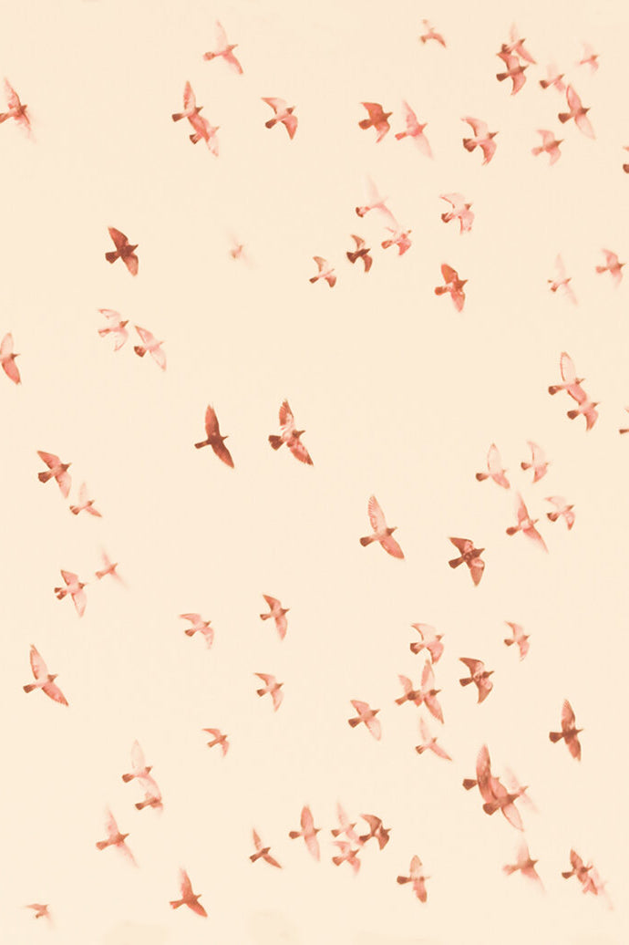 Photography by Jordan Sullivan titled "Birds 9" - 2.