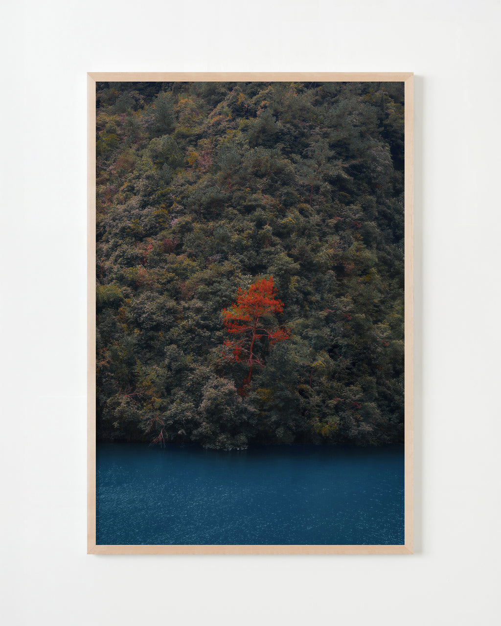 Photography by Jordan Sullivan titled "Red Tree" - 5.