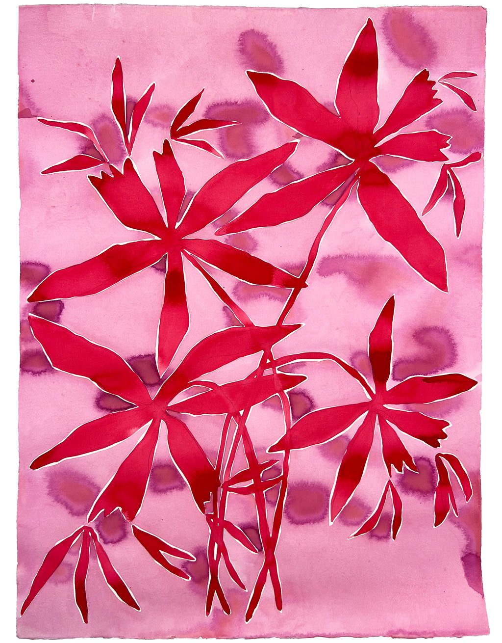 Painting by Kate Roebuck titled "Firecracker Plant" - 2.