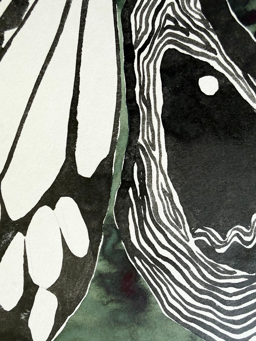 Painting by Kate Roebuck titled "Moth & Oyster" - 3.