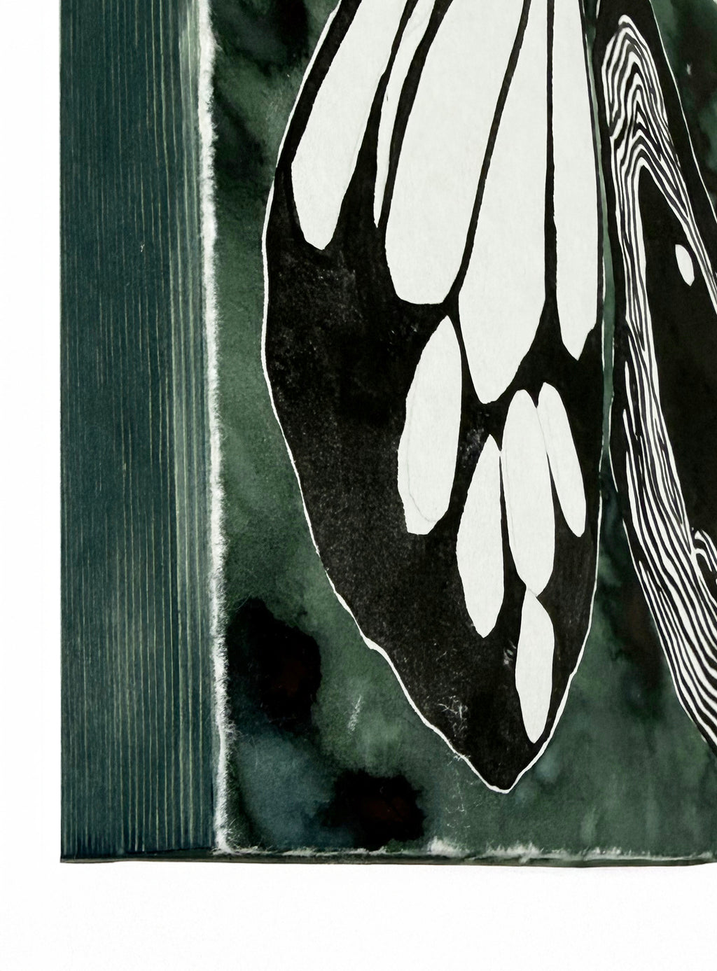 Painting by Kate Roebuck titled "Moth & Oyster" - 4.