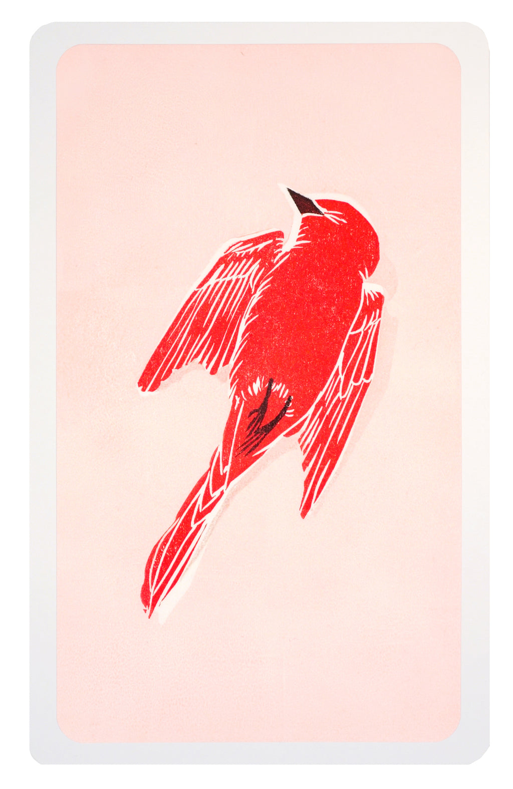 Print by Langdon Graves titled "Dead Bird (Mourning, red)" - 2.
