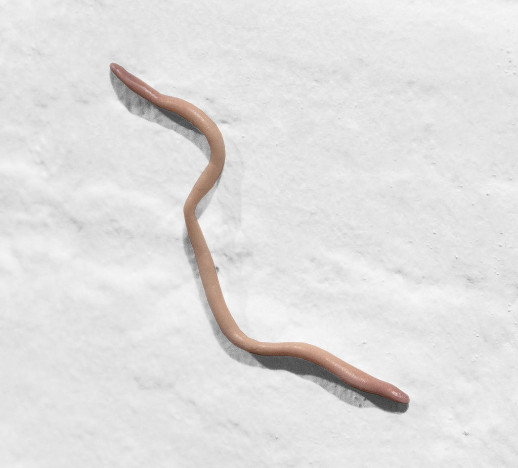 Sculpture by Langdon Graves titled "Nightcrawler" - 2.