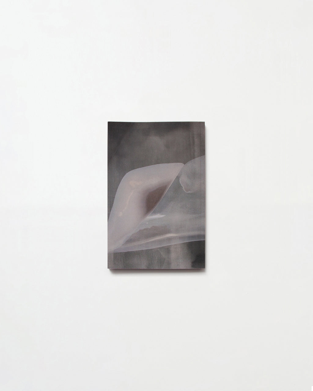 Artist Book by Laura Naples titled "Laura Naples: Volume I" - 5.