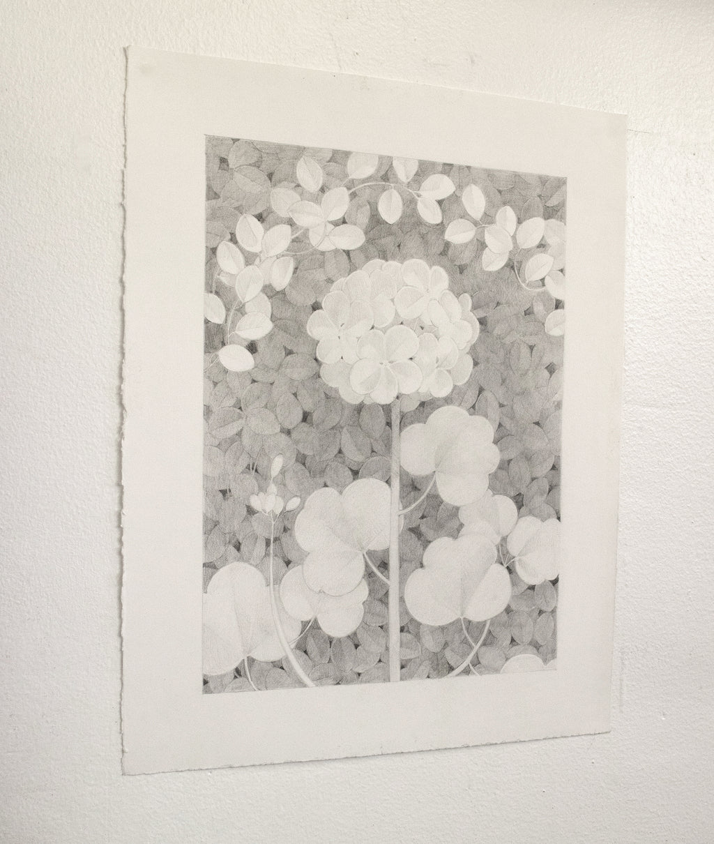 Drawing by Lucía Rodríguez Pérez titled "Untitled (cardenal)" - 4.