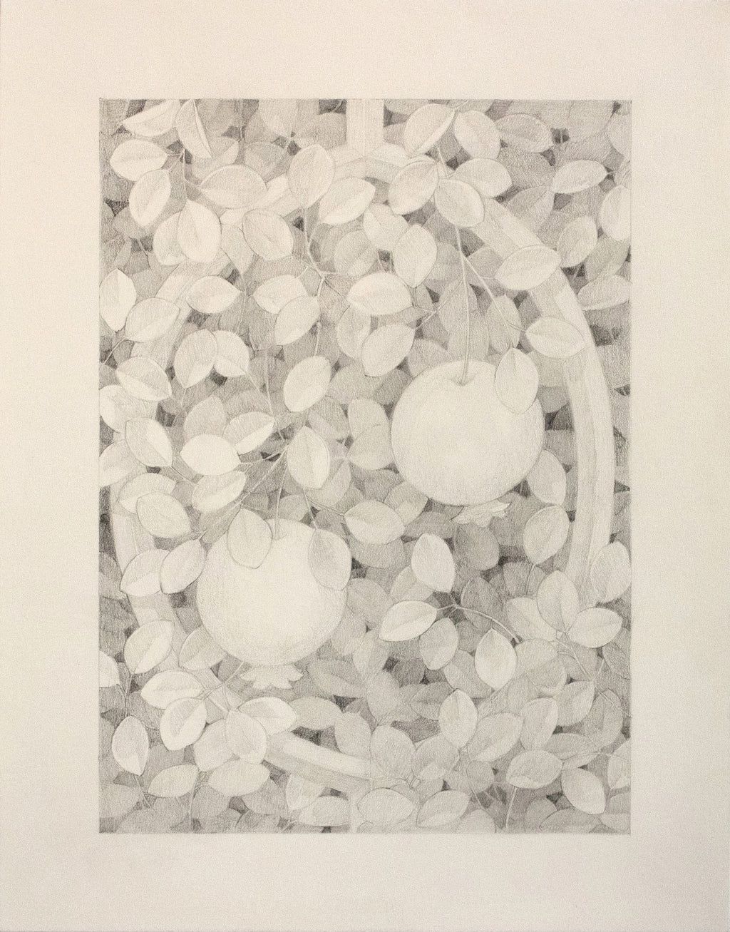 Drawing by Lucía Rodríguez Pérez titled "Untitled (framed pomegranates)" - 2.