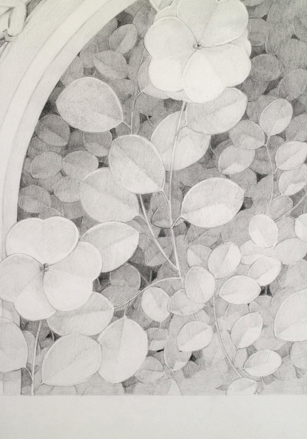 Drawing by Lucía Rodríguez Pérez titled "Untitled (two flowers)" - 3.