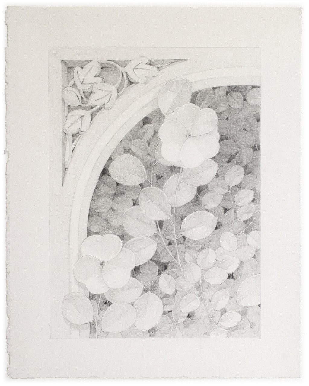 Drawing by Lucía Rodríguez Pérez titled "Untitled (two flowers)" - 2.
