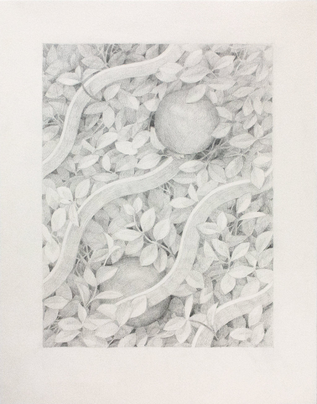 Drawing by Lucia Rodriguez Perez titled "Untitled (two pomegranates)" - 2.