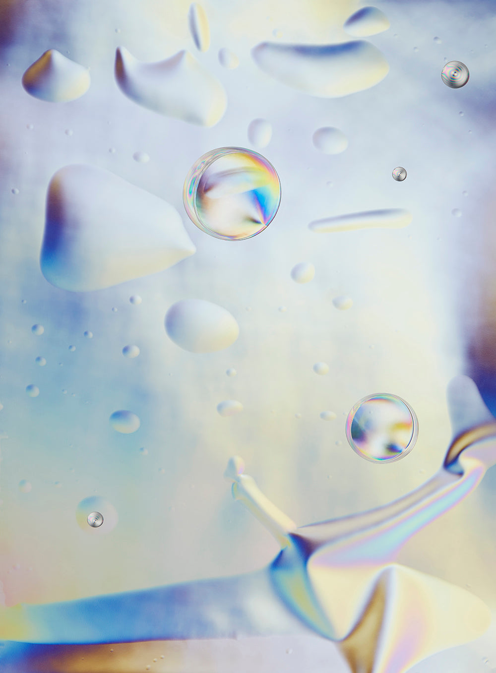 Photography by Martina Lang titled "CC-N48E12.2" - 2.