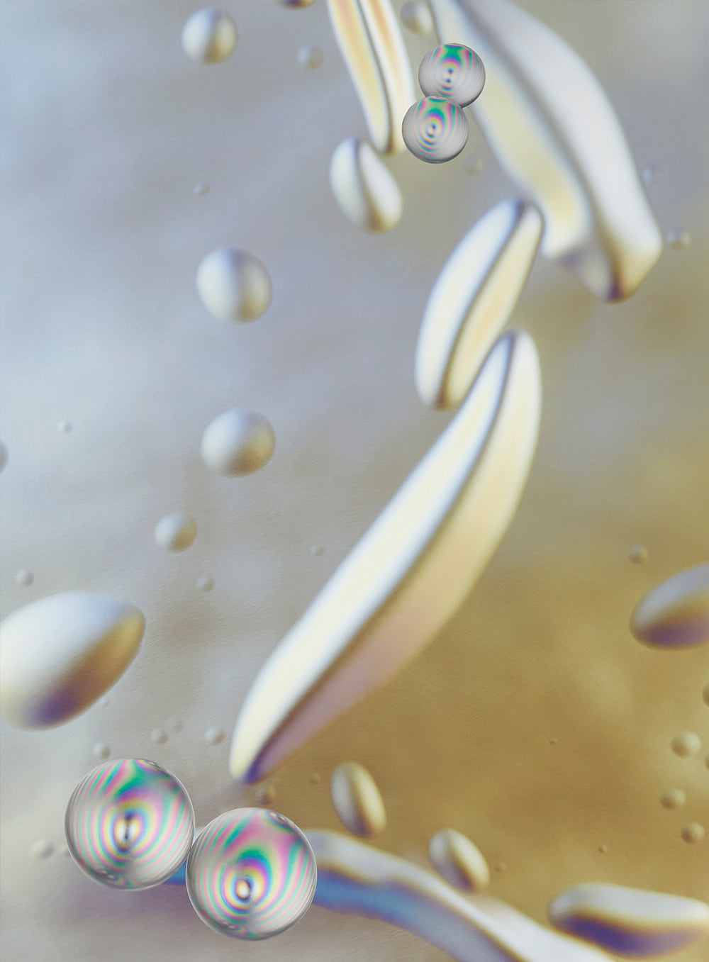 Photography by Martina Lang titled "CC-N48E12.4" - 4.