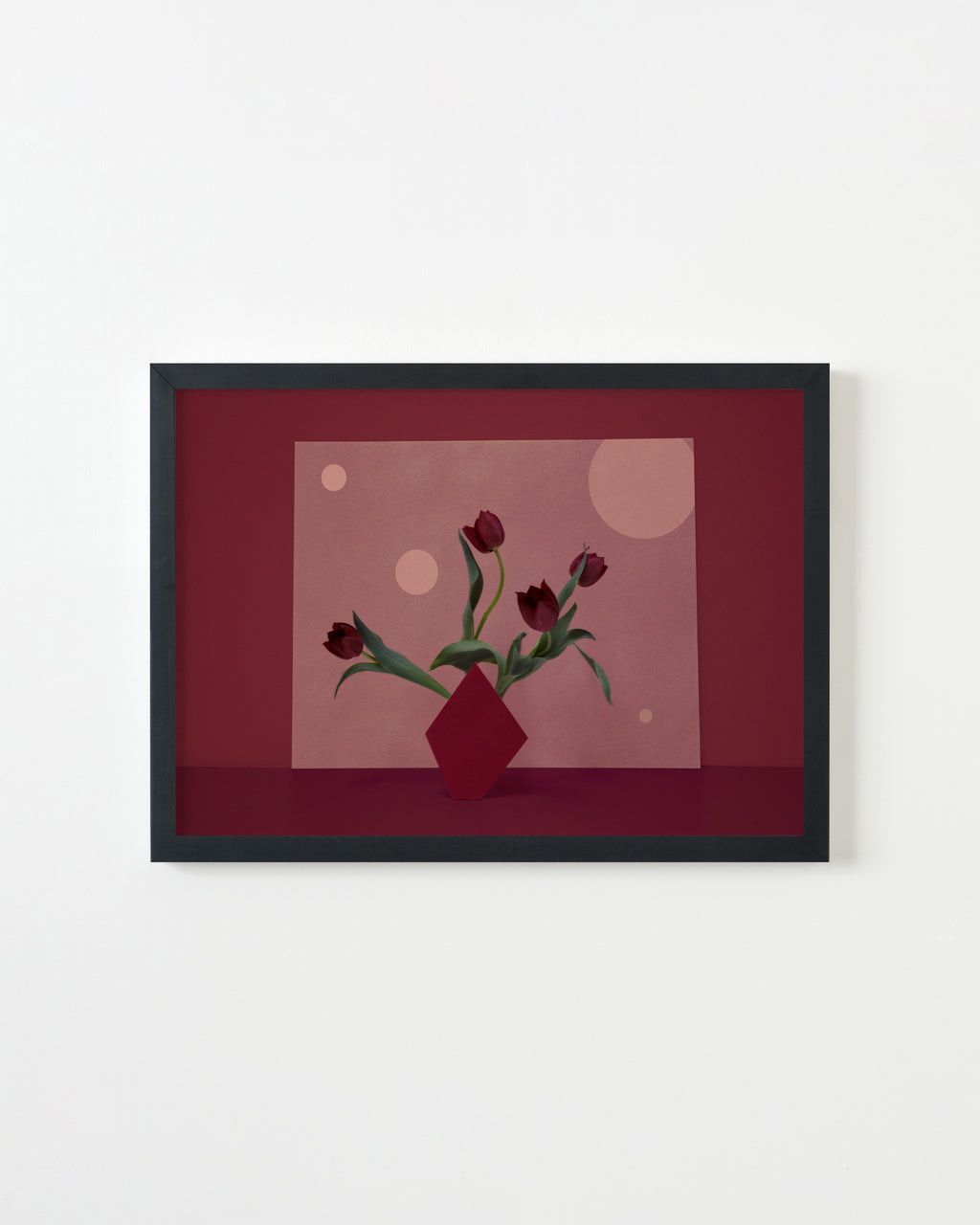 Photography by Martina Lang titled "Flower Points #1" - 3.