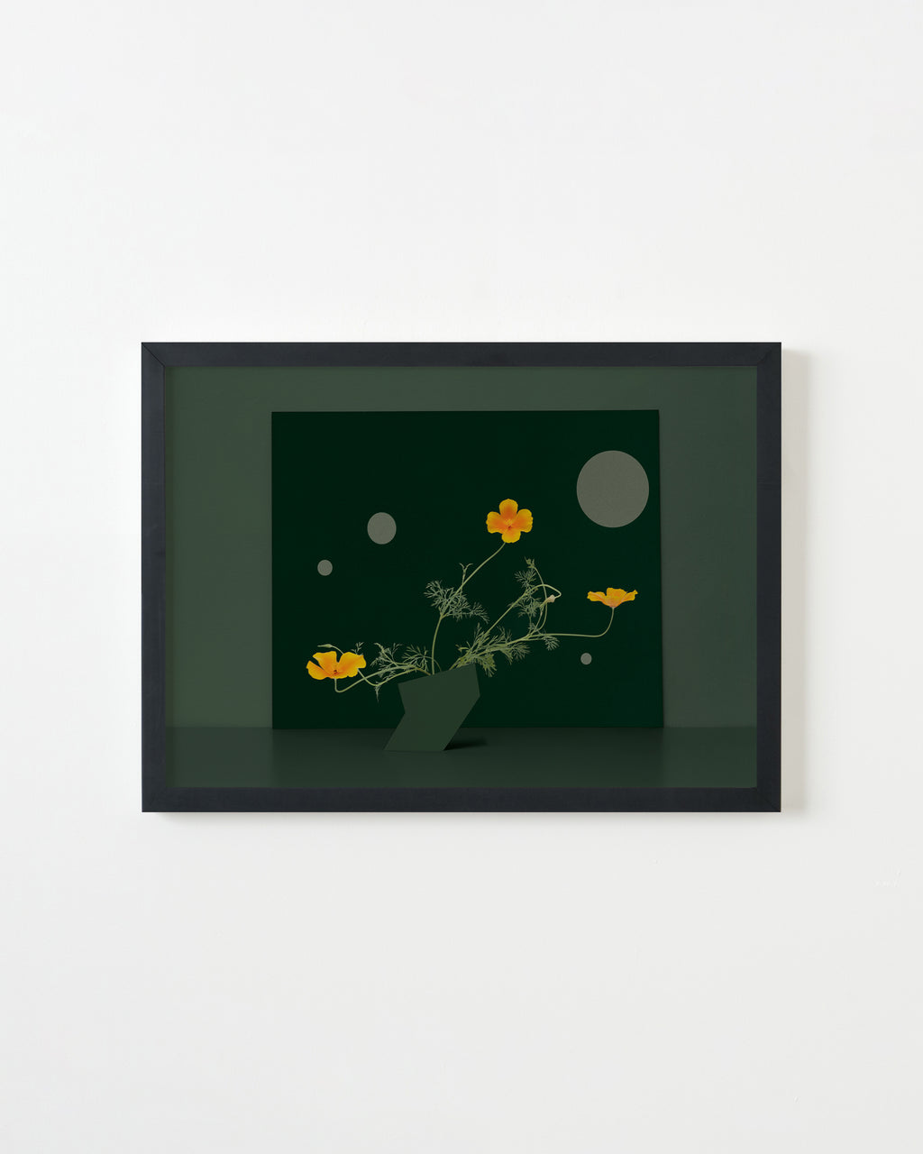 Photography by Martina Lang titled "Flower Points #3" - 3.